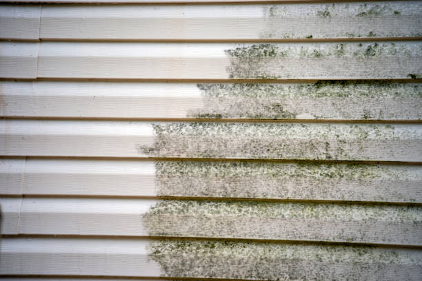 Best Residential Junk Removal  in Crystal Springs, MS
